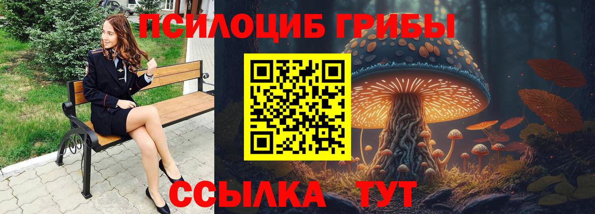 закладка  Вход с VPN  Магадан  Галлюциногенные грибы Cubensis 