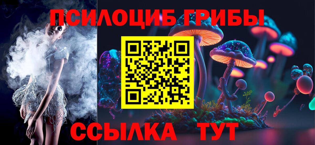 Галлюциногенные грибы Psilocybine cubensis Магадан